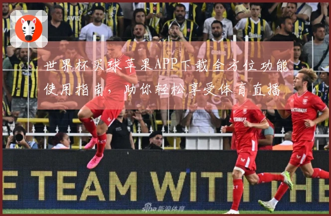 世界杯买球苹果APP下载全方位功能使用指南，助你轻松享受体育直播体验