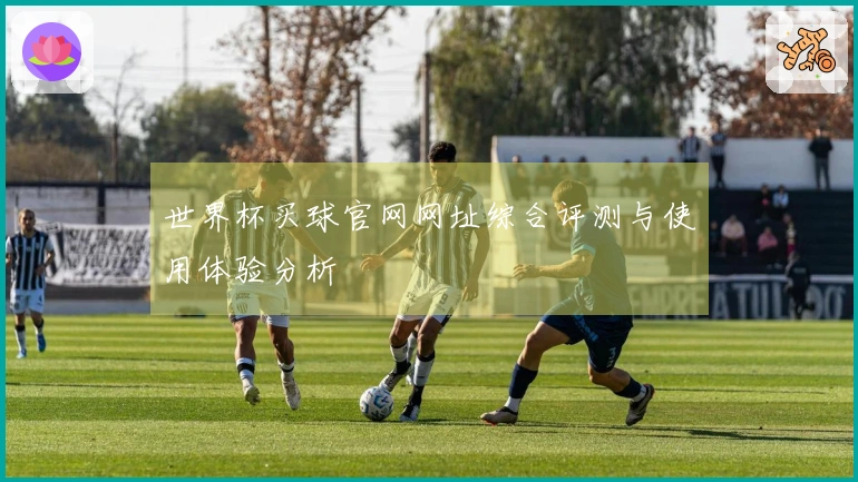 世界杯买球官网网址综合评测与使用体验分析