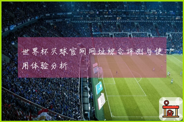 世界杯买球官网网址综合评测与使用体验分析