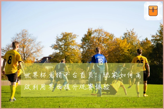 世界杯竞猜平台首页：玩家如何高效利用界面提升观赛体验