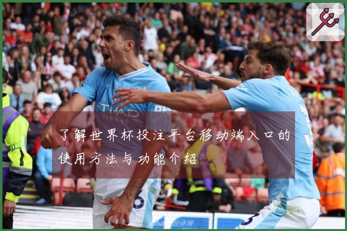 了解世界杯投注平台移动端入口的使用方法与功能介绍