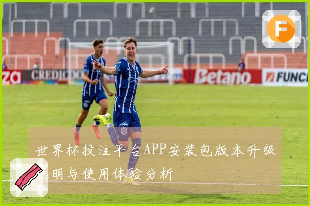 世界杯投注平台APP安装包版本升级说明与使用体验分析