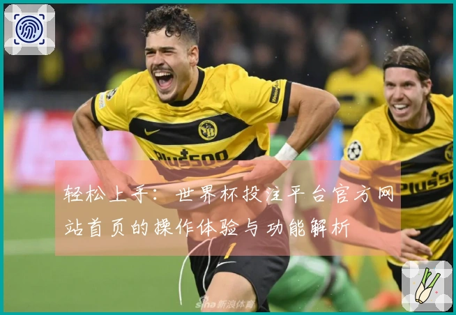 轻松上手：世界杯投注平台官方网站首页的操作体验与功能解析