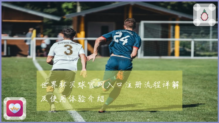 世界杯买球官网入口注册流程详解及使用体验介绍