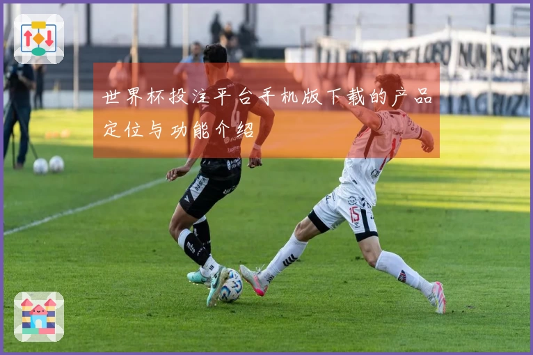 世界杯投注平台手机版下载的产品定位与功能介绍