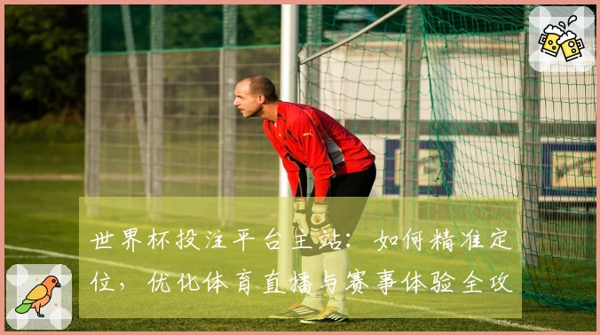 世界杯投注平台主站：如何精准定位，优化体育直播与赛事体验全攻略