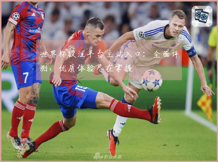 世界杯投注平台主站入口：全面评测，优质体验尽在掌握