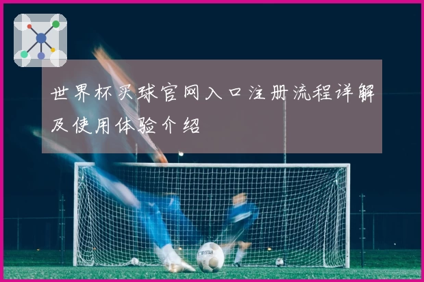 世界杯买球官网入口注册流程详解及使用体验介绍