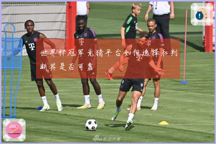 世界杯冠军竞猜平台如何选择和判断其是否可靠