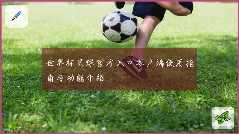 世界杯买球官方入口客户端使用指南与功能介绍