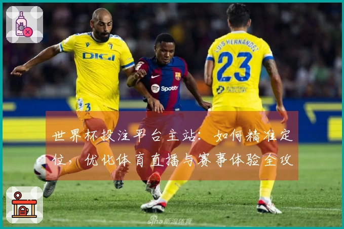 世界杯投注平台主站：如何精准定位，优化体育直播与赛事体验全攻略