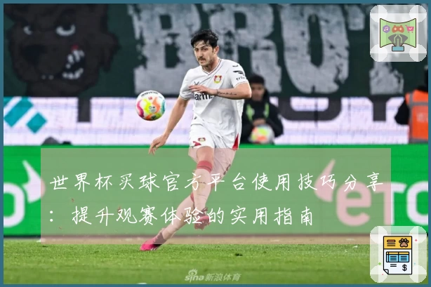 世界杯买球官方平台使用技巧分享：提升观赛体验的实用指南