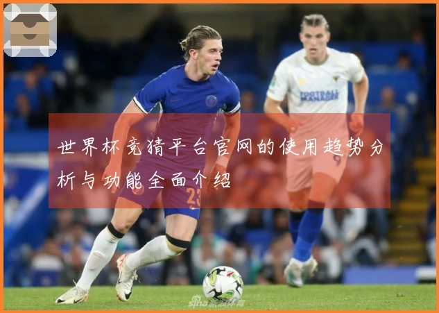 世界杯竞猜平台官网的使用趋势分析与功能全面介绍